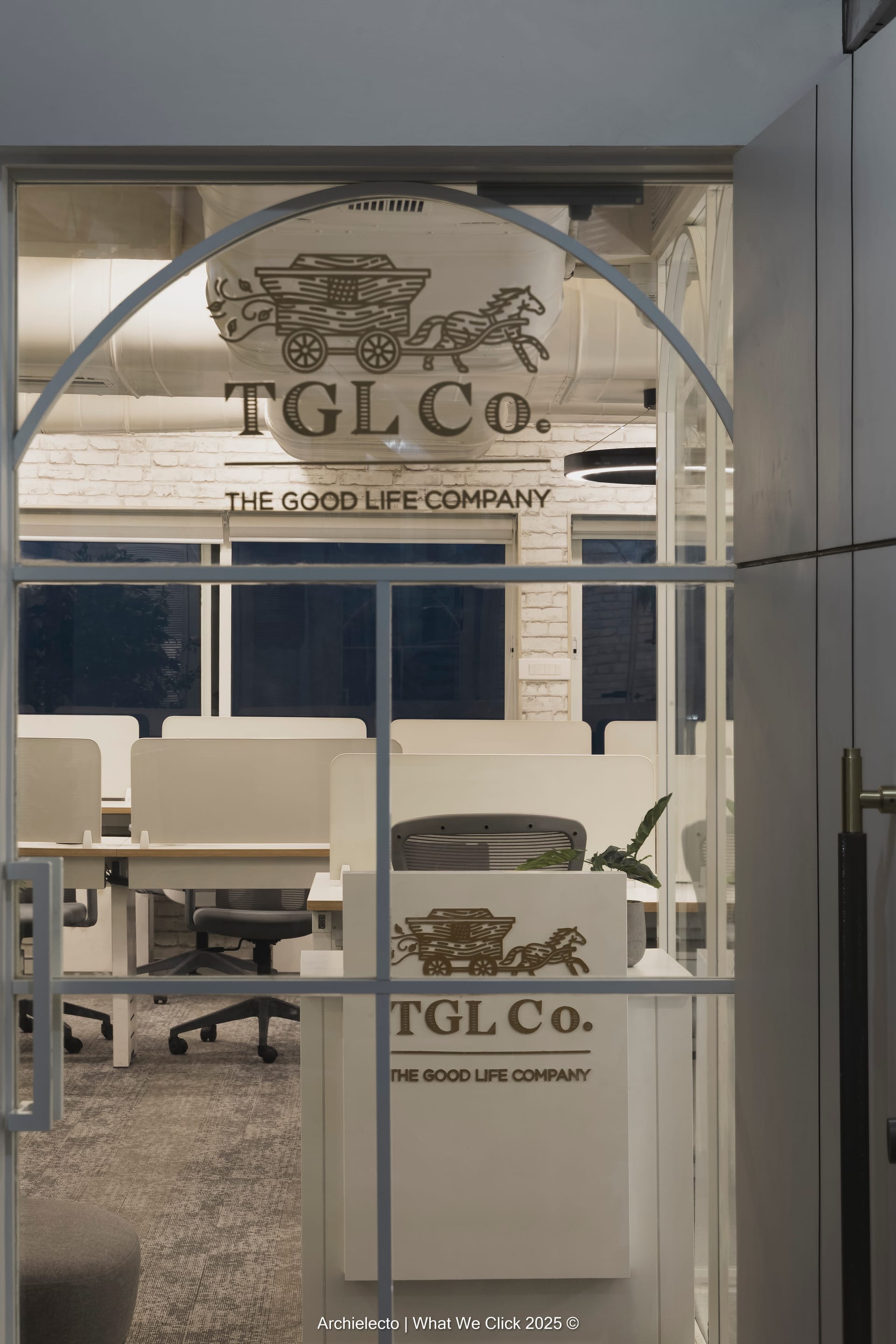 TGL-23